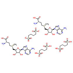 丁二磺酸腺苷蛋氨酸
