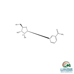 烟酰胺核糖氯化物(NR-CL)