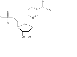 β-烟酰胺单核苷酸
