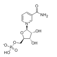 β-煙酰胺單核苷酸