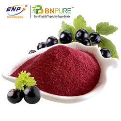 黑加仑汁粉 BlackCurrant Juice Powder