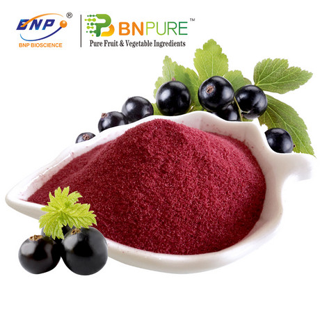 黑加仑汁粉 BlackCurrant Juice Powder