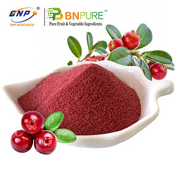 蔓越莓汁粉Cranberry Juice Powder