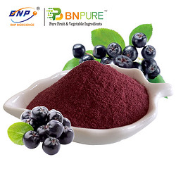 野樱莓汁粉Aronia Juice Powder