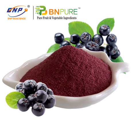 野樱莓汁粉Aronia Juice Powder