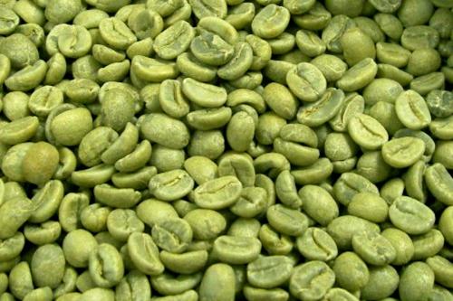綠咖啡豆提取物