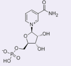 β-烟酰胺单核苷酸