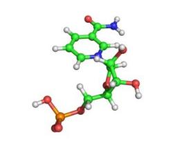 尚科生物 NMN β-煙酰胺單核苷酸 ≥99%  GMP工廠 現(xiàn)貨供應(yīng)