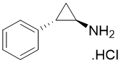 反苯環(huán)丙胺鹽酸鹽
