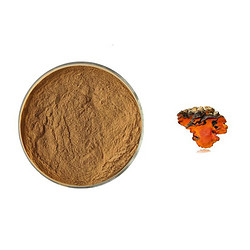 牛樟芝提取物