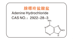 腺嘌呤盐酸盐