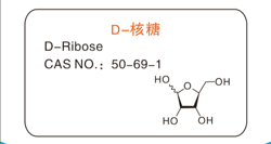 D-核糖