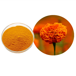萬壽菊提取物玉米黃質(zhì)