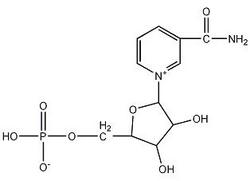  β-烟酰胺单核苷酸