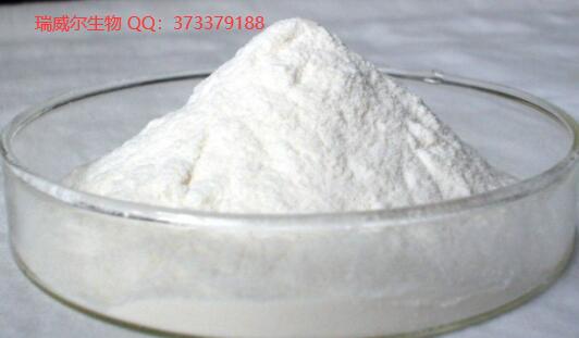 醋酸泼尼松 125-10-0 Prednisone Acetate