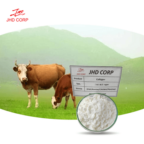 牛骨胶原蛋白 Collagen bovine