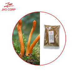 虫草粉 Cordyceps powder