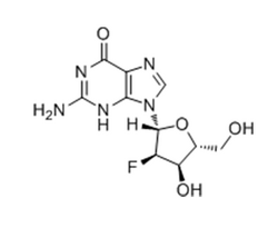 2'-Fluoro-2'-Deoxyguanosine