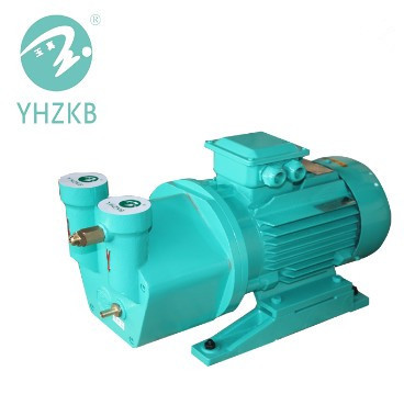 SK series liquid ring vacuum pump