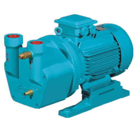 SK series liquid ring vacuum pump