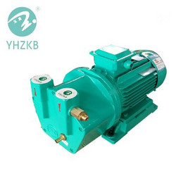 SK series liquid ring vacuum pump