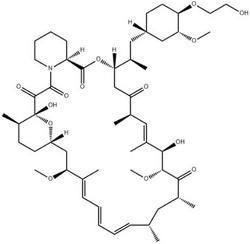 Everolimus