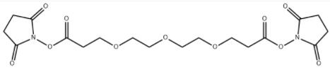 bis(2,5-dioxopyrrolidin-1-yl) 3,3'-(2,2'-oxybis(ethane-2,1-diyl)bis(oxy))dipropanoate