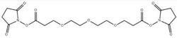 bis(2,5-dioxopyrrolidin-1-yl) 3,3'-(2,2'-oxybis(ethane-2,1-diyl)bis(oxy))dipropanoate