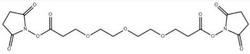 bis(2,5-dioxopyrrolidin-1-yl) 3,3'-(2,2'-oxybis(ethane-2,1-diyl)bis(oxy))dipropanoate