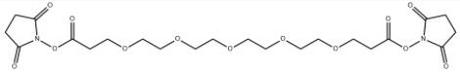 bis(2,5-dioxopyrrolidin-1-yl) 4,7,10,13,16-pentaoxanonadecane-1,19-dioate