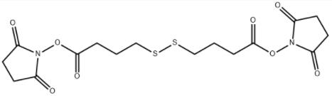 bis(2,5-dioxopyrrolidin-1-yl) 4,4'-disulfanediyldibutanoate