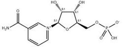 β-NMN (Nicotinamide Mononucleotide )