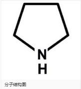 四氢吡咯