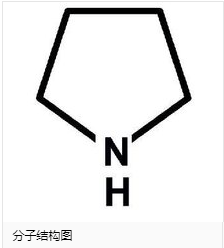 四氫吡咯