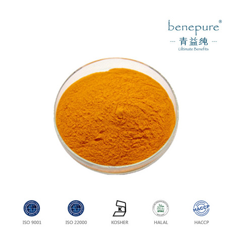 食品添加剂维生素B2核黄素