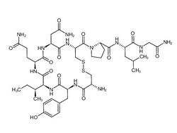 Oxytocin