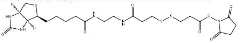 Biotin-bisamido-SS-NHS
