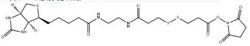 Biotin-bisamido-SS-NHS