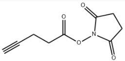 4-pentynoic acid succinimidyl ester