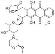 Nemorubicin