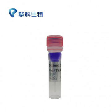DL2000 DNA Marker