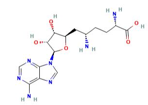 Sinefungin