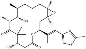 Epothilone B