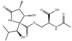 Lactacystin