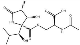 Lactacystin