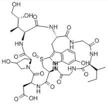 beta-Amanitin