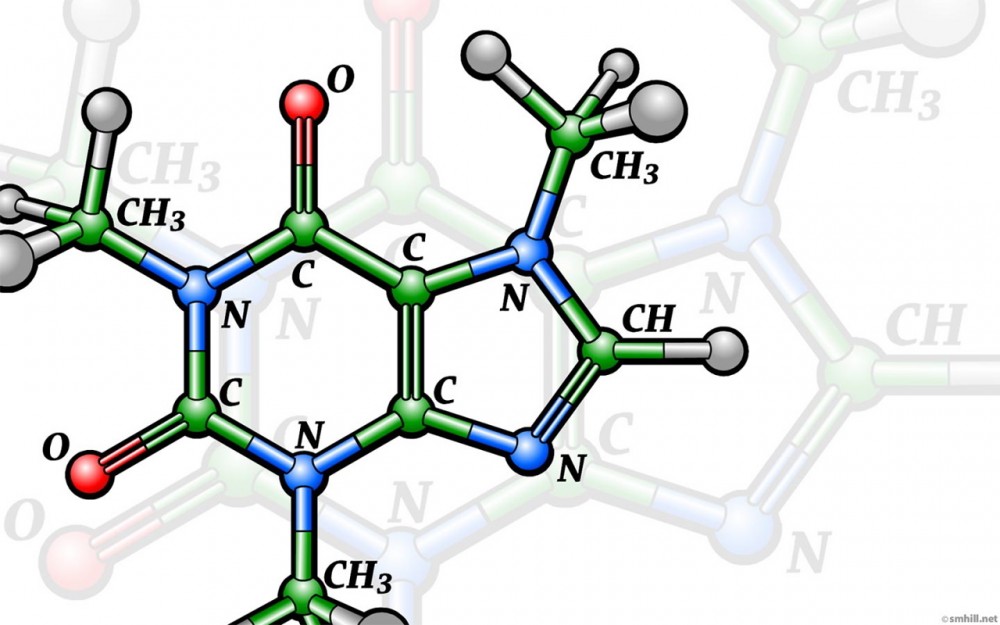 耐碱蛋白 a-天然多糖凝胶(nafimicro-rprotein a)