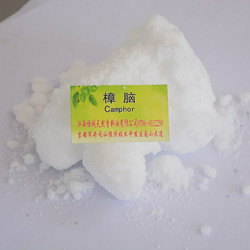 合成樟腦