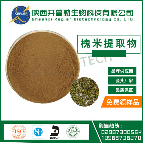 槐米提取物 工厂直供 欧美标准