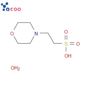2-(N-吗啉)乙磺酸一水合物( MES·H2O）145224-94-8